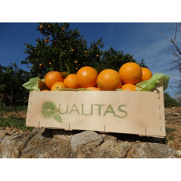Comprar 15 kg naranjas online calidad gourmet. Del campo a casa en